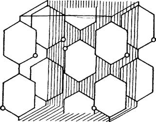 Внутренняя структура волокон — ламели, фибриллы