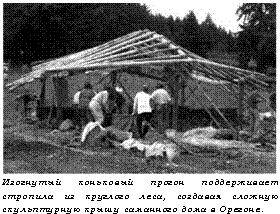 подпись: 
изогнутый коньковый прогон поддерживает стропила из круглого леса, создавая сложную скульптурную крышу саманного дома в орегоне.
