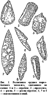 подпись: 
рис. 2. различные орудия первобытного человека, сделанные из камня: 1 и 2—-скребки; 3 —проколка; 4 — резец; 5 — резец-скребок; б, 7 и 8 — наконечники копий.
