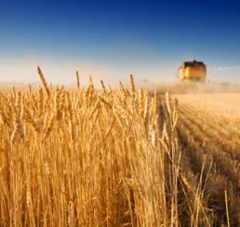 Процесс чистки зерна. Как повысить качество и понизить расходы?
