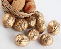 Ореховый сад: как высадить прибыльный бизнес