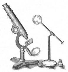 Микроскоп - увлекательная вещица и суровый аксессуар