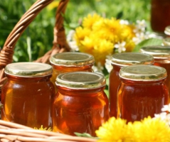 Пчелиный мед как бизнес. Узнайте, какие сорта приобретают!