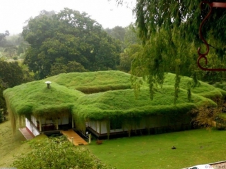 Озеленение кровель - элегантный дом до вершины крыши