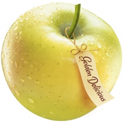 Яблоки Голден - золотые фрукты, что приносят пользу и прибыль