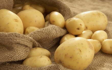 Картофель будет самым дешевеньким овощем весь сезон