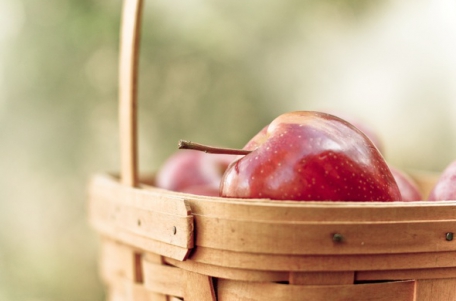 Яблоки разорят украинских производителей практически на млрд