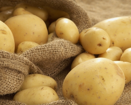 Засуха повысит цены на картофель зимой на 30%