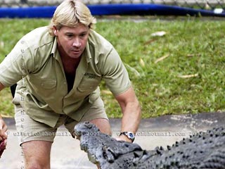 Охотник за крокодилами Стив Ирвин умер