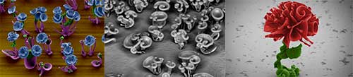 Микроскопичные нано цветочки выращенные в пробирке