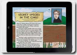 Журнальчик для хозяев iPad: анонсы в формате листовки-комикса