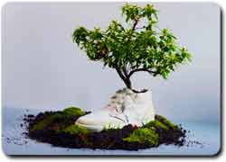 Экологичная обувь