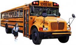 Личная кандидатура школьному автобусу