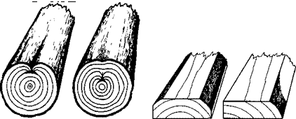 Пороки и дефекты древесины