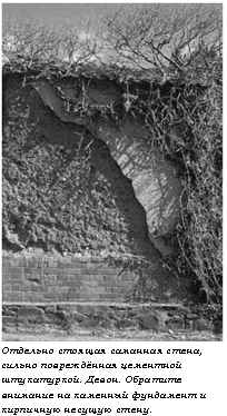 подпись: 
отдельно стоящая саманная стена, сильно повреждённая цементной штукатуркой. девон. обратите внимание на каменный фундамент и кирпичную несущую стену.
