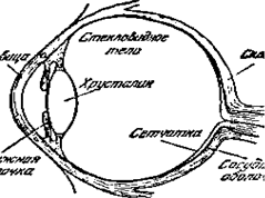 Глаз как оптическая система