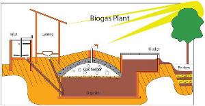 Проект установки для производства биогаза