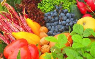 Современные методы хранения новых овощей и фруктов