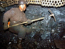 Каменный уголь - достойные внимания версии образования и факты