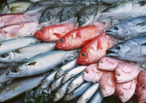 Рыба на прилавке: как избрать высококачественный продукт