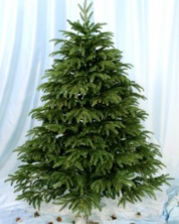 Искусственная елка - достойная подмена классическому новогоднему дереву