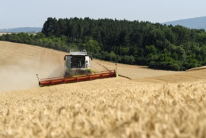Уборка урожая – сейчас это просто и просто с зерноуборочными комбайнами CLAAS