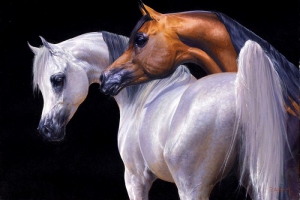 Арабская чистокровная лошадка... Таинственная восточная кросотка, подаренная нам природой