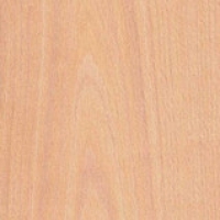 Древесные двери: избираем доброкачественную и долговременную древесную породу