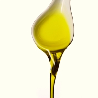 Фильтры для растительного масла от компании ТАН - делаем ставку на высококачественное оборудование и получаем масло высшего сорта!