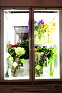 Холодильное оборудование для цветов. Неподменные установки для магазина цветов