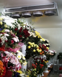 Холодильное оборудование для цветов. Неподменные установки для магазина цветов