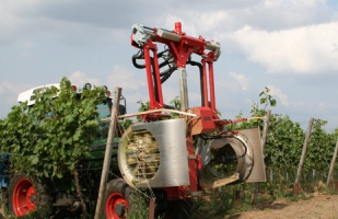 Неподменная техника, которая должна быть у каждого современного виноградаря