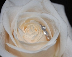 Покупаем кольцо для помолвки либо как сделать, чтоб возлюбленная не смогла отрешиться?!
