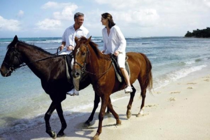 Крым желает развивать конный туризм