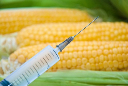 Минздрав утверждает, что в Украине нет товаров с ГМО