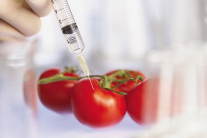 На маркировку без ГМО ввели ограничения