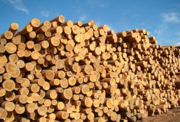 Цены на древесную породу свалятся на 25%
