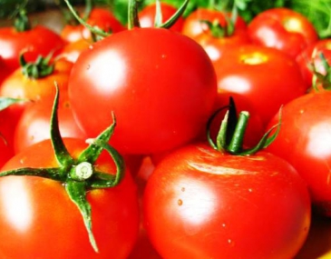 Украина импортировала рекордный объем томата