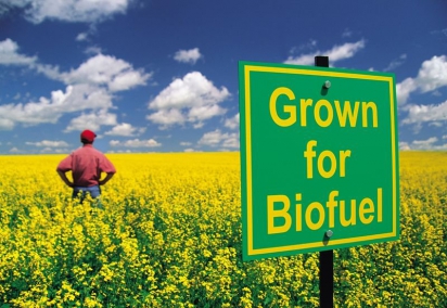 В Европе пища дорожает из-за биотоплива