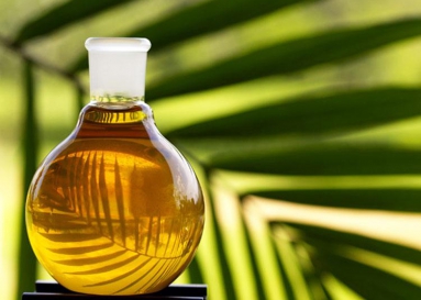 В мире рекордными темпами дешевеет пальмовое масло