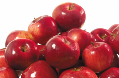 Оптовые цены на яблоки снизятся на 15-20%