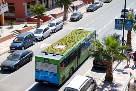 Автобусы с газонами на крыше
