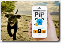 Мобильное приложение для поиска пропавших собак