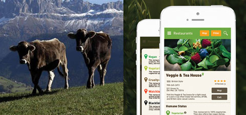 Мобильное приложение для выбора ресторана с «гуманным» мясным меню