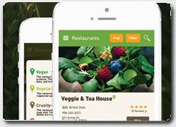 Мобильное приложение для выбора ресторана с «гуманным» мясным меню