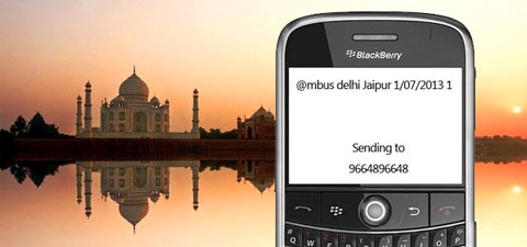 Сервис для туристов: заказ тура в Индию по смс