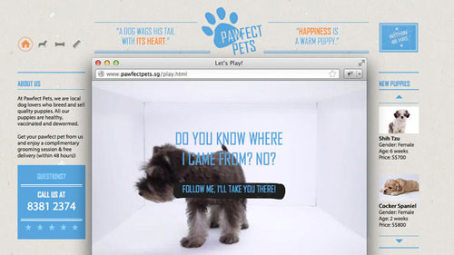 Интерактивный веб-сайт про беспощадность «щенячьих ферм»