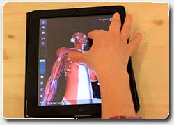 Обучающее мобильное приложение: Анатомический атлас в 3D