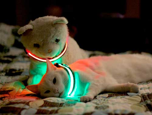 Светящиеся LED ошейники для домашних животных