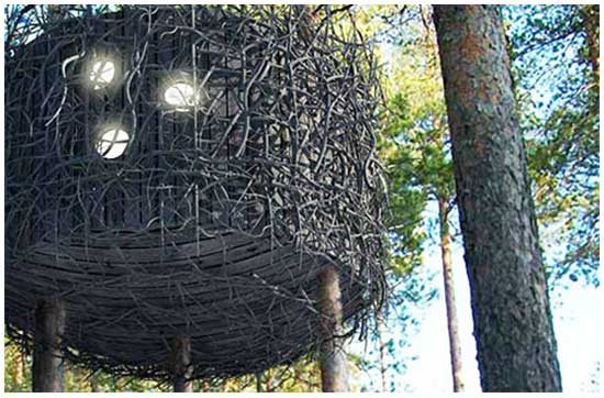 Отель-гнездо на дереве